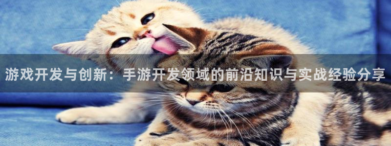 庄闲最稳：游戏开发与创新：手游开发领域的前沿知识与实战经验分
