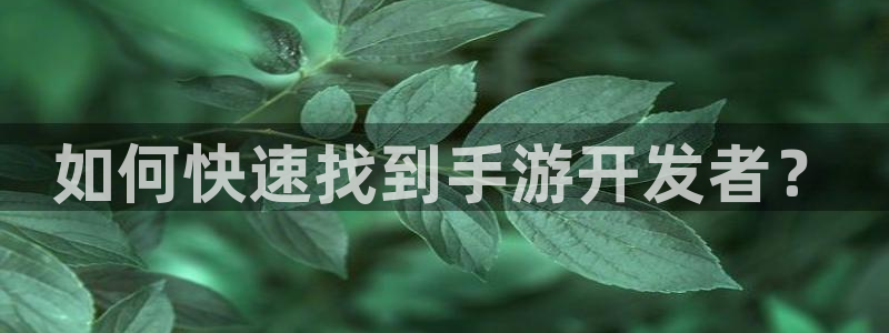 庄闲游戏的具体规则是什么?：如何快速找到手游开发者？