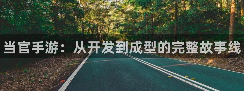 庄闲游戏程序：当官手游：从开发到成型的完整故事线
