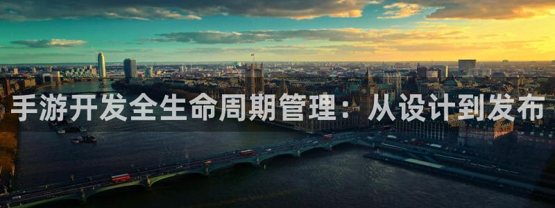庄闲规则介绍：手游开发全生命周期管理：从设计到发布