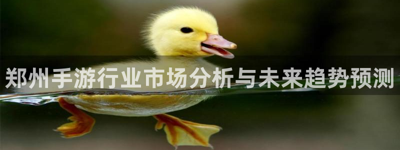 庄闲高胜率玩法：郑州手游行业市场分析与未来趋势预测