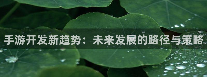 玩庄闲如何运用枝巧蠃钱?：手游开发新趋势：未来发展的路径与策