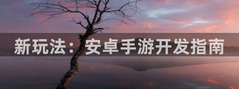 庄闲和游戏有限公司：新玩法：安卓手游开发指南