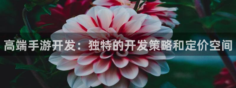 庄闲游戏导航：高端手游开发：独特的开发策略和定价空间