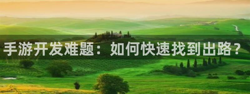 庄闲是什么娱乐项目：手游开发难题：如何快速找到出路？