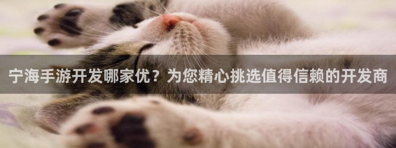 庄闲怎么玩才能赚钱?：宁海手游开发哪家优？为您精心挑选值得信