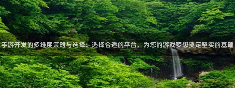 庄闲游戏平台怎么样：手游开发的多维度策略与选择：选择合适的平