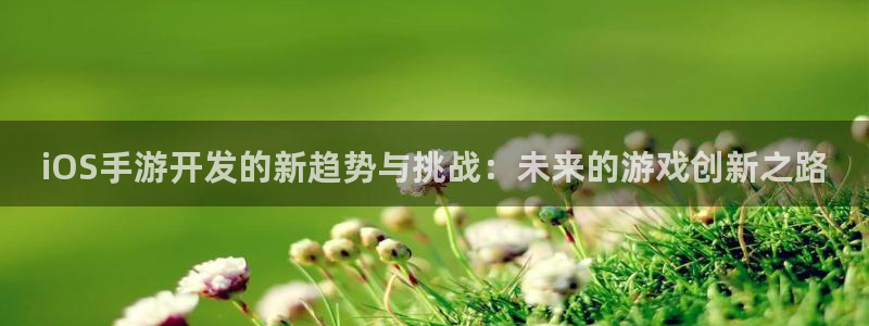 庄闲下载软件：iOS手游开发的新趋势与挑战：未来的游戏创新之
