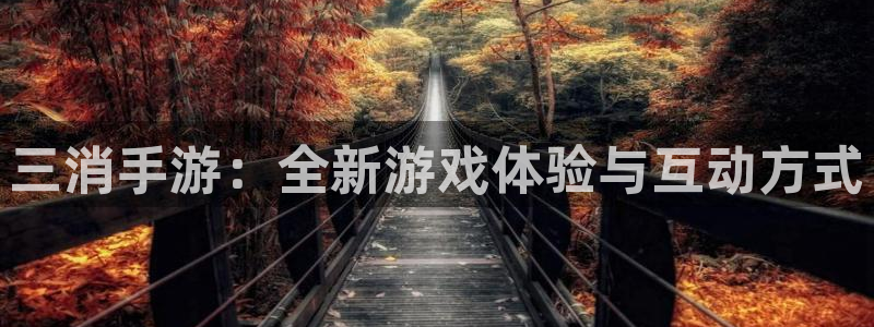庄闲玩法叫：三消手游：全新游戏体验与互动方式