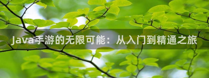 庄闲游戏叫啥：Java手游的无限可能：从入门到精通之旅