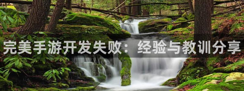 庄闲庄庄闲的切入点：完美手游开发失败：经验与教训分享