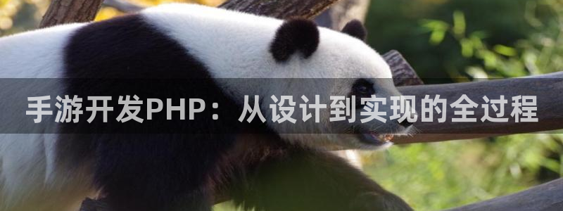 庄闲和怎么玩才能不输：手游开发PHP：从设计到实现的全过程
