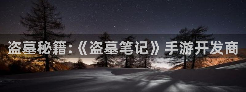 庄闲游戏真人：盗墓秘籍:《盗墓笔记》手游开发商