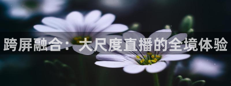 51视频在线直播nba：跨屏融合：大尺度直播的全境体验