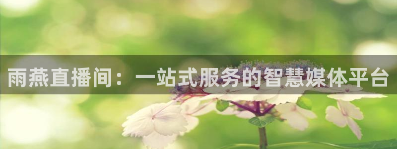 51视频在线直播nba：雨燕直播间：一站式服务的智慧媒体平台