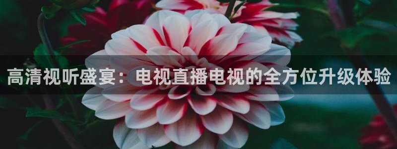 51视频在线直播nba：高清视听盛宴：电视直播电视的全方位升级体验