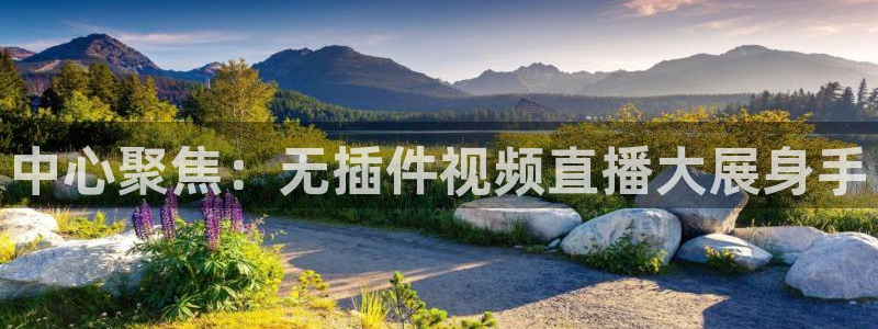 51视频在线直播nba：中心聚焦：无插件视频直播大展身手